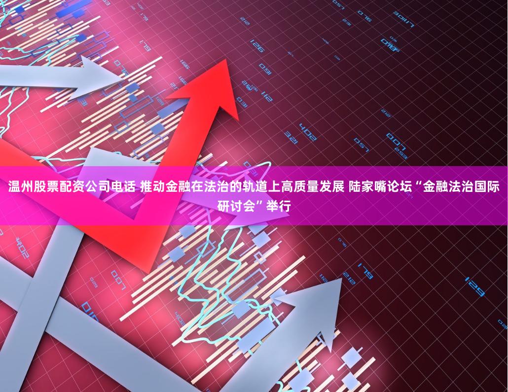 温州股票配资公司电话 推动金融在法治的轨道上高质量发展 陆家嘴论坛“金融法治国际研讨会”举行