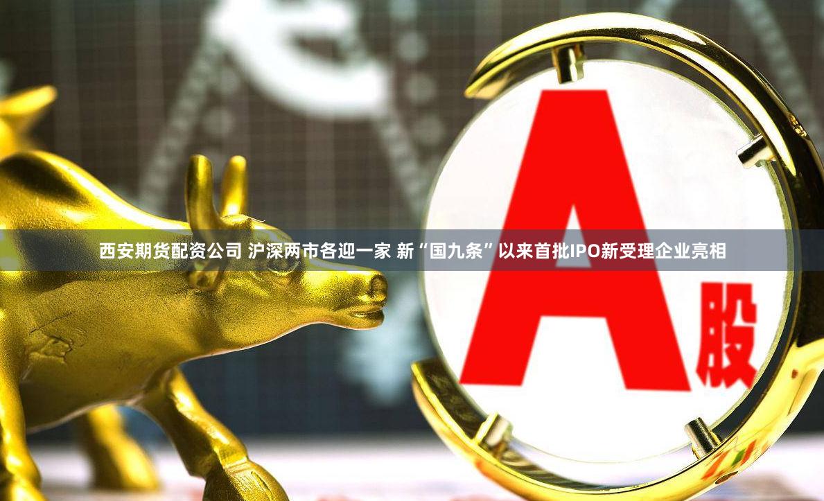 西安期货配资公司 沪深两市各迎一家 新“国九条”以来首批IPO新受理企业亮相