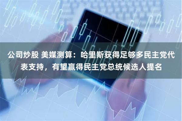 公司炒股 美媒测算：哈里斯获得足够多民主党代表支持，有望赢得民主党总统候选人提名