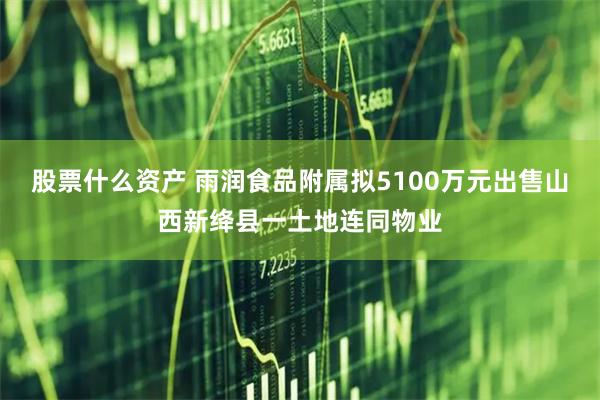 股票什么资产 雨润食品附属拟5100万元出售山西新绛县一土地连同物业