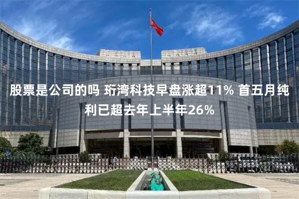 股票是公司的吗 珩湾科技早盘涨超11% 首五月纯利已超去年上半年26%