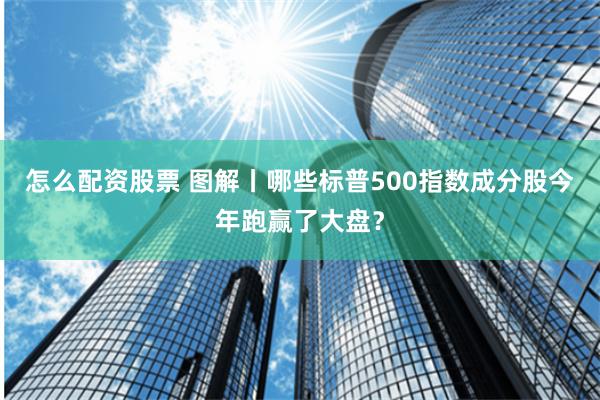 怎么配资股票 图解丨哪些标普500指数成分股今年跑赢了大盘？