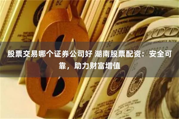 股票交易哪个证券公司好 湖南股票配资:安全可靠,助力财富增值
